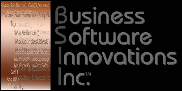 Business Software Innovations Inc.